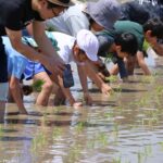泥んこになって学ぶ“食”の大切さ　第11回「八潮ふるさと体験教室」田植え体験を開催