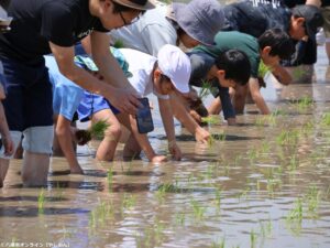泥んこになって学ぶ“食”の大切さ　第11回「八潮ふるさと体験教室」田植え体験を開催