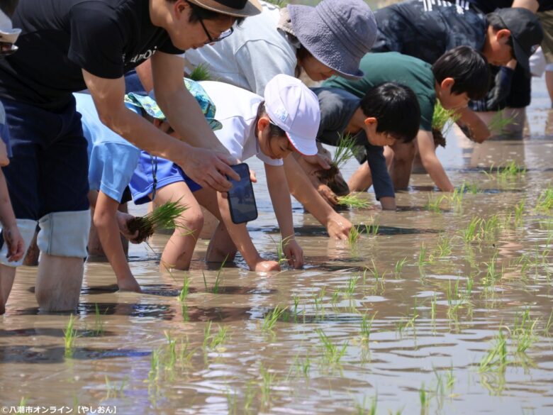 泥んこになって学ぶ“食”の大切さ 第11回「八潮ふるさと体験教室」田植え体験を開催