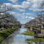 八潮にも流れる「葛西用水」が世界へ　“世界かんがい施設遺産”候補選定、その価値とは