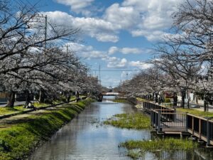 八潮にも流れる「葛西用水」が世界へ　“世界かんがい施設遺産”候補選定、その価値とは