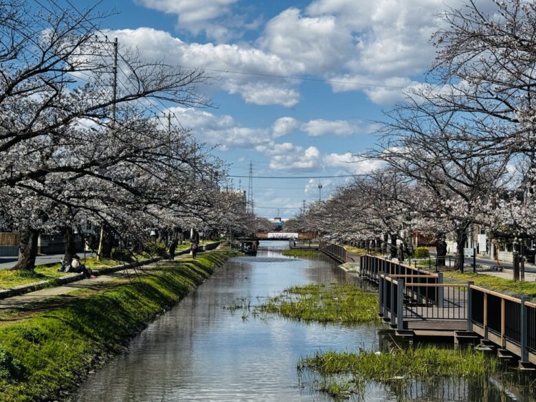 八潮にも流れる「葛西用水」が世界へ　“世界かんがい施設遺産”候補選定、その価値とは
