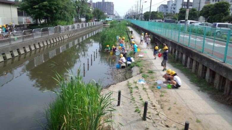 八潮市　葛西用水自然観察広場