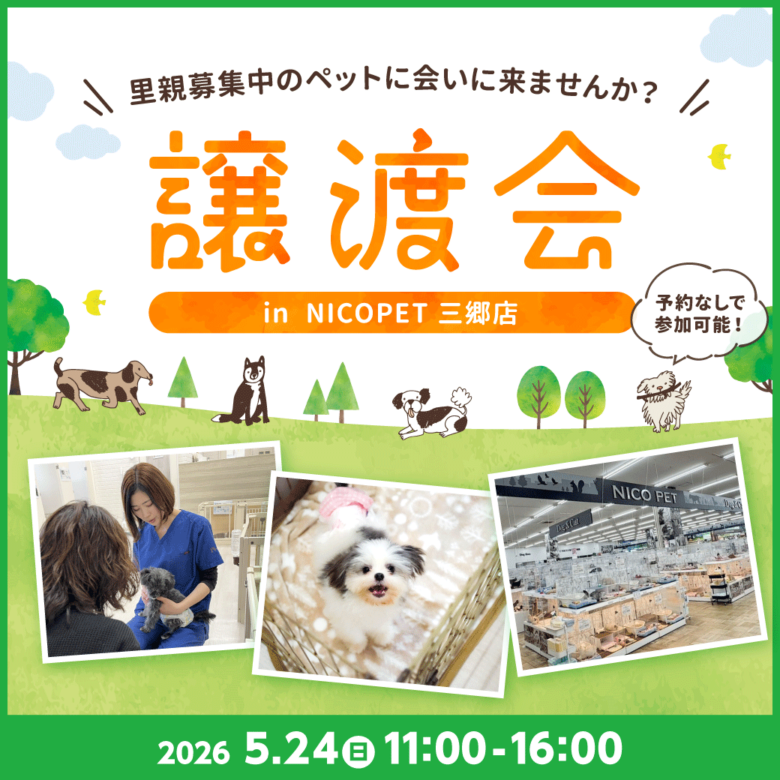 三郷で保護犬猫の出会いの場　5月24日「NICO PET三郷店」で譲渡会開催へ