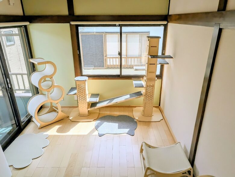 八潮・三郷・草加エリアからも利用可能　猫専門ペットホテル「ネコト®さいたま店」オープン