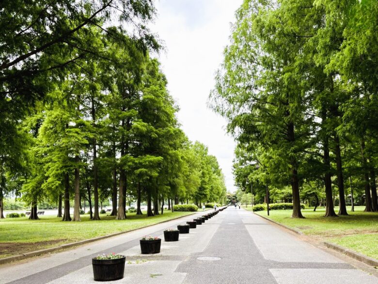 【レポート】八潮から気軽に行ける!水元公園で花菖蒲と紫陽花が見頃を迎えています