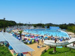 東武動物公園「東武スーパープール」が開業以来初の大規模改修　7月18日リニューアルオープン