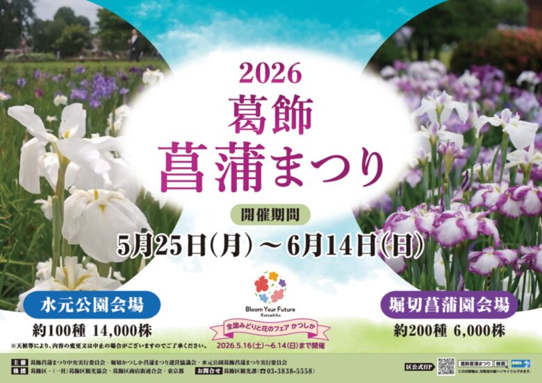 【2026葛飾菖蒲まつり】今週末でフィナーレ!水元公園・堀切菖蒲園で花菖蒲を楽しめる最後のチャンス