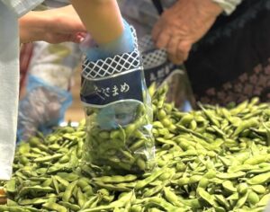八潮市で朝採れ野菜直売＆枝豆詰め放題を開催　人気米粉パン店「てとてとて」も特別出店