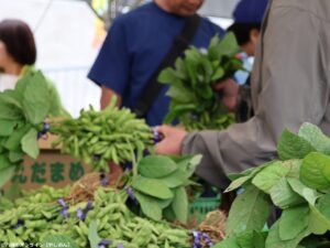 レポート【八潮市】やしお枝豆ヌーヴォー祭2026開催　解禁された旬の味覚に大行列