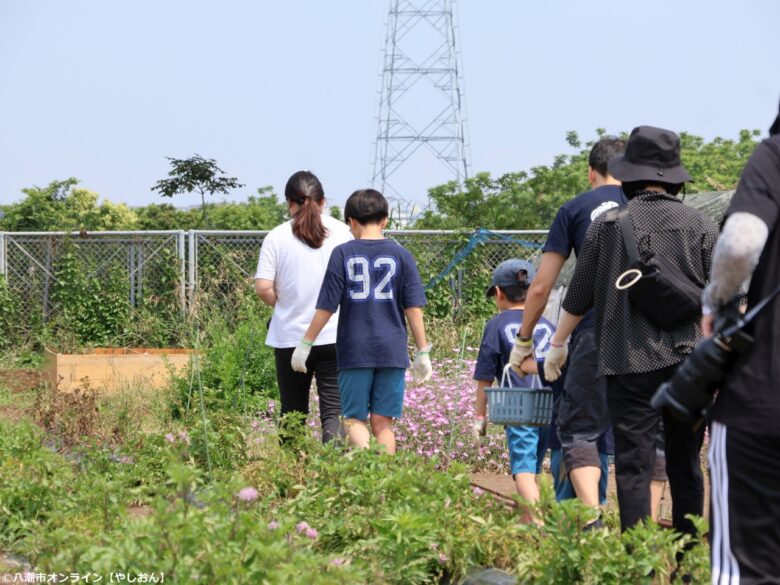 八潮市で話題の新体験「はたけ写真館」オープン じゃがいも収穫と家族写真を同時に楽しむ特別な一日
