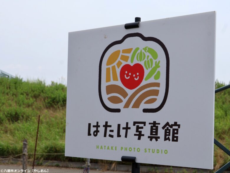 八潮市で話題の新体験「はたけ写真館」オープン じゃがいも収穫と家族写真を同時に楽しむ特別な一日