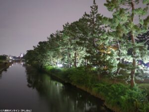 【草加市】第11回「草加松原夢祭り」7月4日・5日開催　幻想的なライトアップと屋台で夏の松並木を満喫