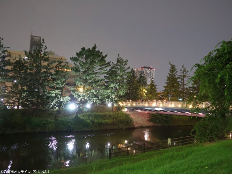 【草加市】第11回「草加松原夢祭り」7月4日・5日開催 幻想的なライトアップと屋台で夏の松並木を満喫