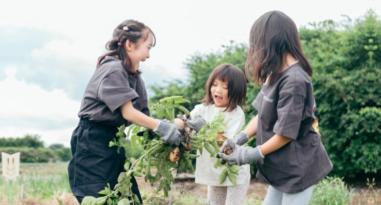 八潮市に新体験スポット誕生!「はたけ写真館」6月5日オープン 収穫体験と家族写真を一緒に楽しめる