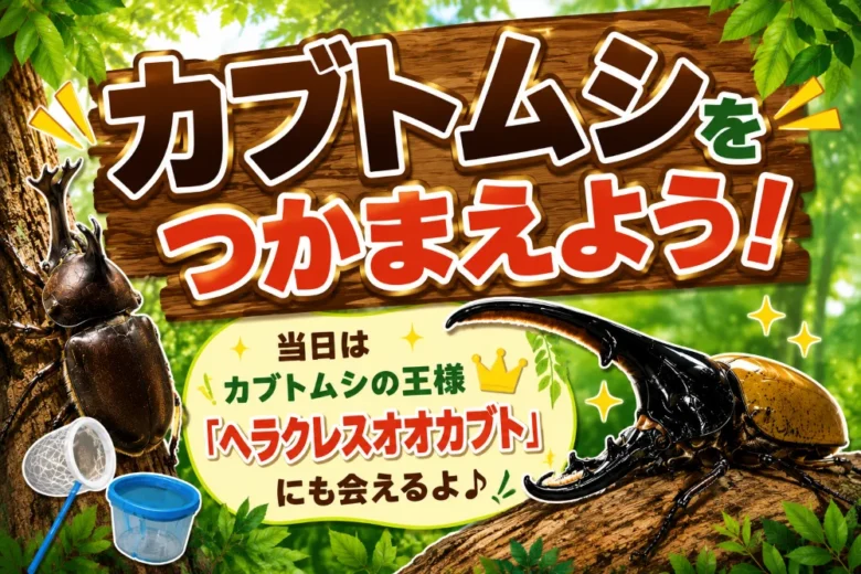 ヘラクレスオオカブトにも会える!三郷で「カブトムシつかみ取り」開催 捕まえたカブトムシはプレゼント