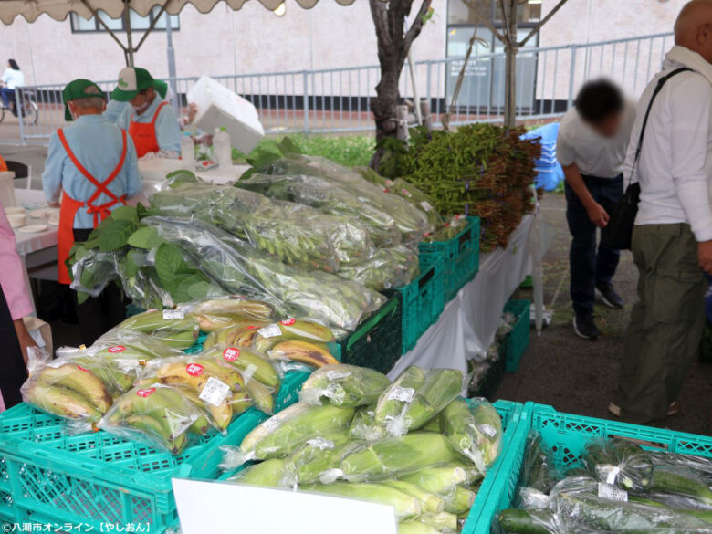 雨にも負けず大盛況!採れたて枝豆に長蛇の列「やしお枝豆大感謝祭2026」開催レポート