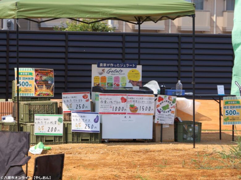 【八潮市】雨天中止を乗り越えリベンジ開催!「しゅん・あぐり」朝採れ野菜と枝豆詰め放題にぎわう
