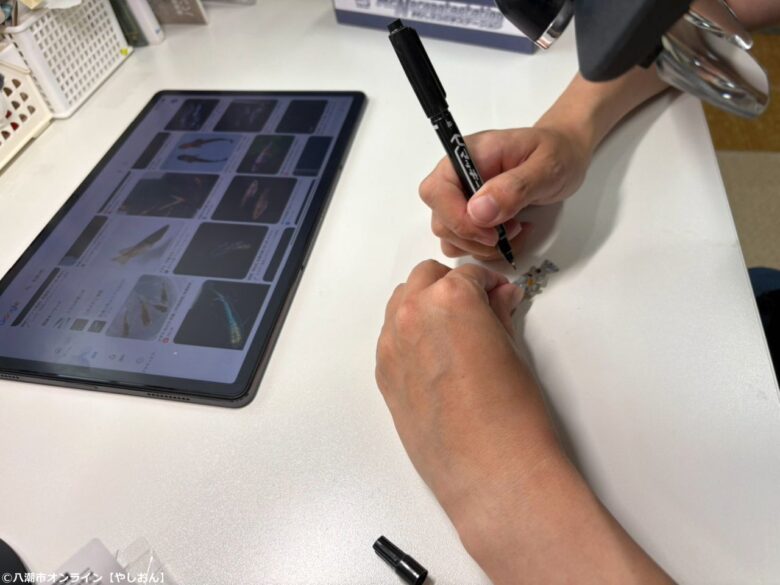 八潮市「はなもも」で生まれた、利用者さんと作る世界に一つだけのメダカキーホルダーを取材【レポート】