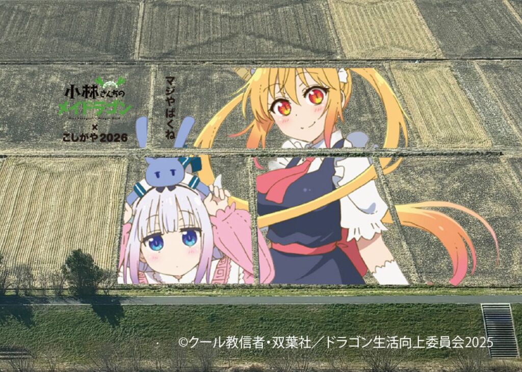 2026】越谷市「こしがや田んぼアート」は『小林さんちのメイドラゴン