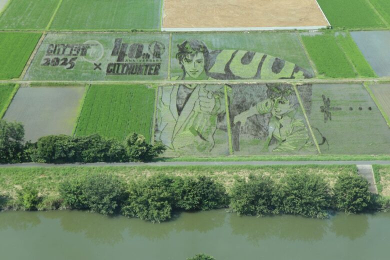 こしがや田んぼアート2025