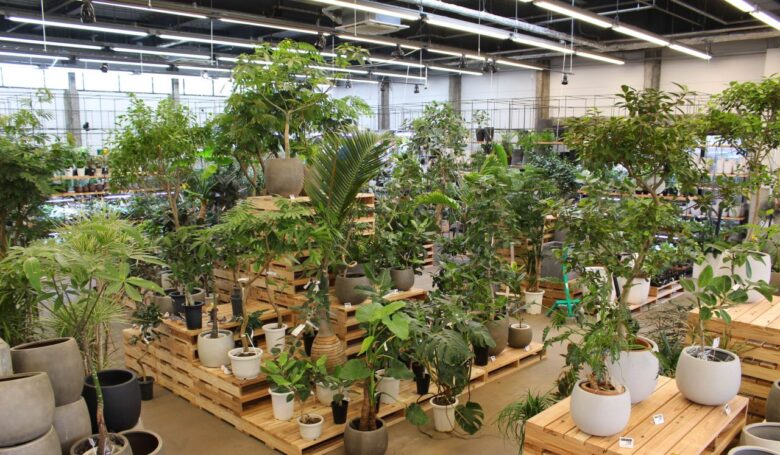 三郷に新たな“植物の専門店”誕生 スーパービバホームが大改装、「武蔵乃葉品店」がオープン