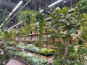 三郷に新たな“植物の専門店”誕生　スーパービバホームが大改装、「武蔵乃葉品店」がオープン