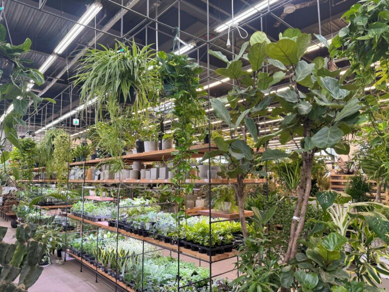 三郷に新たな“植物の専門店”誕生 スーパービバホームが大改装、「武蔵乃葉品店」がオープン