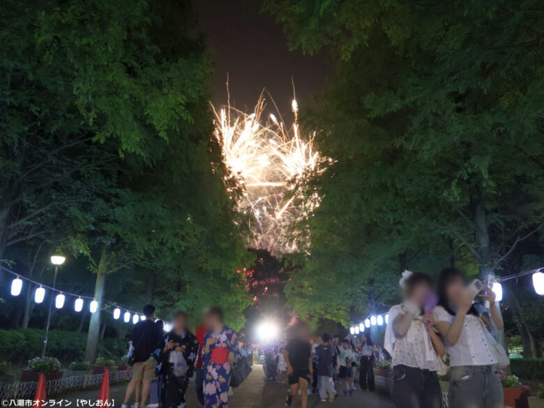 7年ぶりの夜空に大歓声!草加市民納涼大花火大会、160連発が視界を埋め尽くす