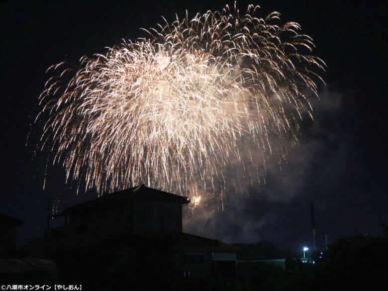 7年ぶりの夜空に大歓声!草加市民納涼大花火大会、160連発が視界を埋め尽くす