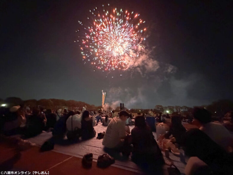 7年ぶりの夜空に大歓声!草加市民納涼大花火大会、160連発が視界を埋め尽くす