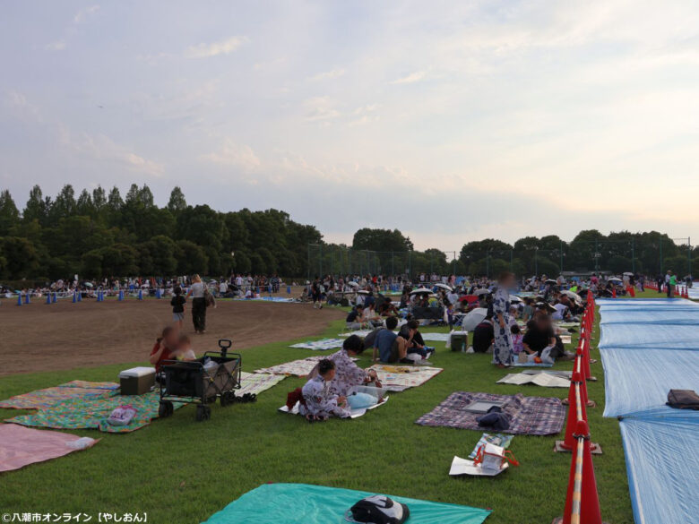 7年ぶりの夜空に大歓声!草加市民納涼大花火大会、160連発が視界を埋め尽くす