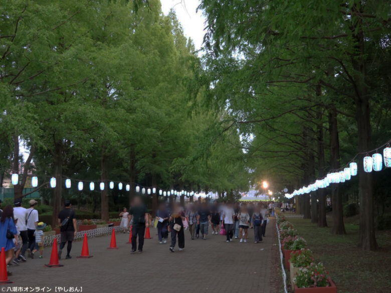 7年ぶりの夜空に大歓声!草加市民納涼大花火大会、160連発が視界を埋め尽くす