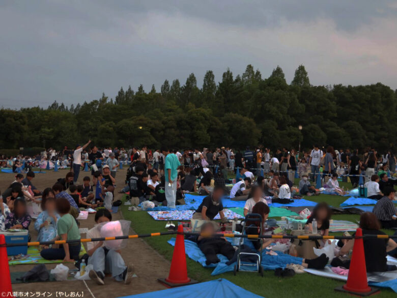 7年ぶりの夜空に大歓声!草加市民納涼大花火大会、160連発が視界を埋め尽くす
