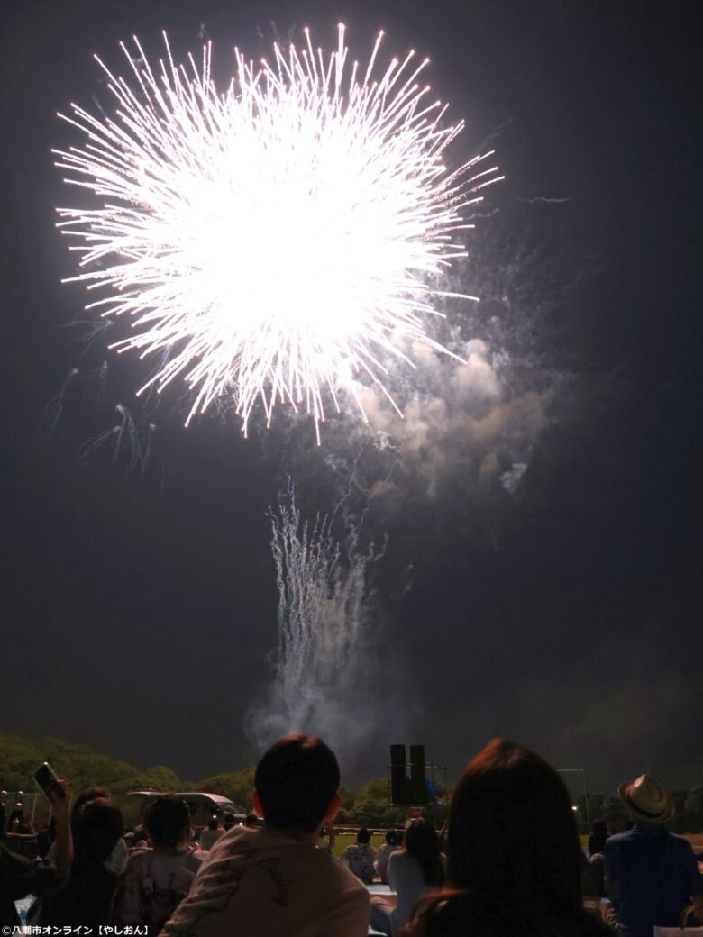 7年ぶりの夜空に大歓声!草加市民納涼大花火大会、160連発が視界を埋め尽くす