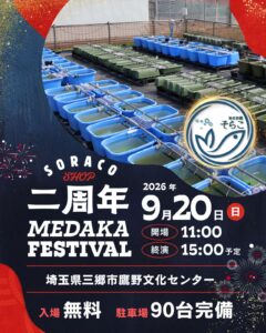 三郷「めだか屋そらこ」が2周年！9月20日に50種類超の改良メダカ集まる感謝祭