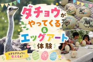三郷にダチョウがやってくる！巨大な卵でアート体験も　9月21日開催