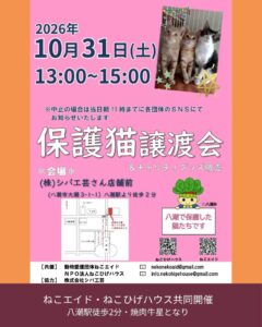 八潮駅徒歩2分で保護猫たちとの出会いを。10月31日、シバ工芸前で譲渡会開催