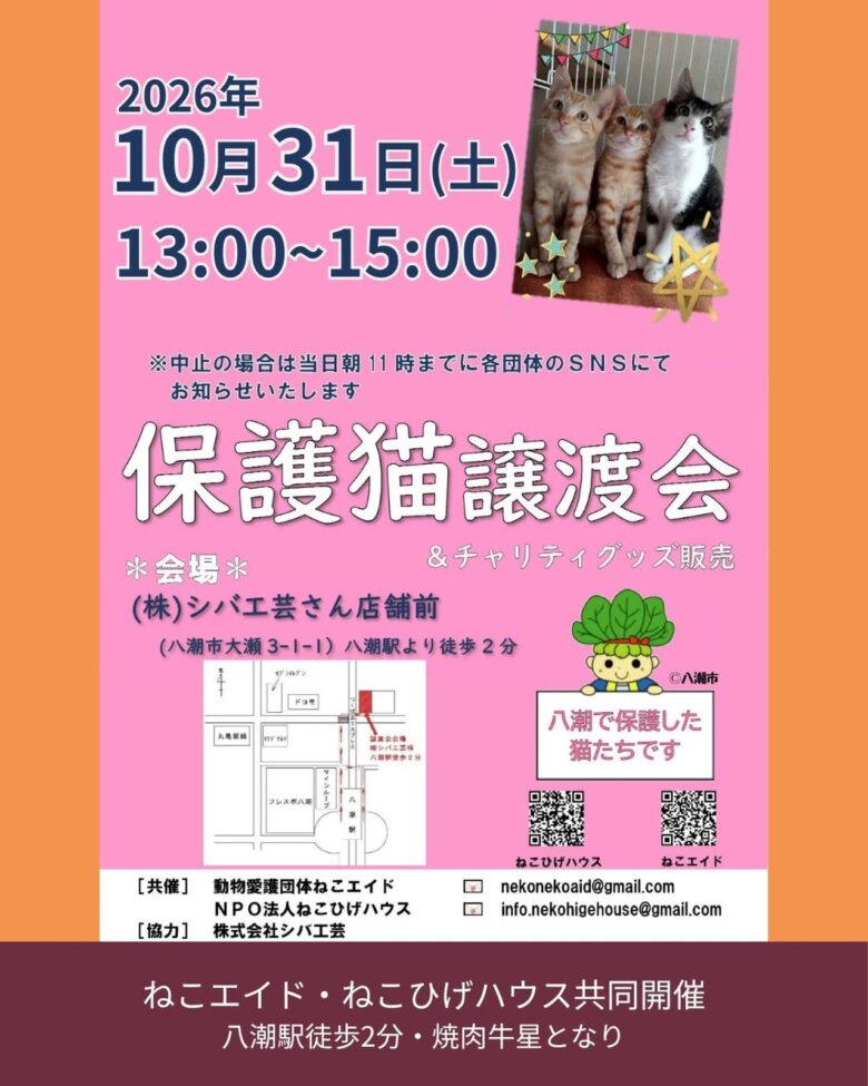 八潮駅徒歩2分で保護猫たちとの出会いを。10月31日、シバ工芸前で譲渡会開催
