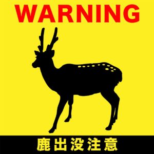 吉川市の中井・会野谷でシカ数頭の目撃情報　早朝に複数の通報、近づかず安全確保を