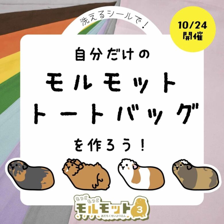 55頭から「推しモル」を探そう!足立区生物園でモルモットの魅力に出会う秋